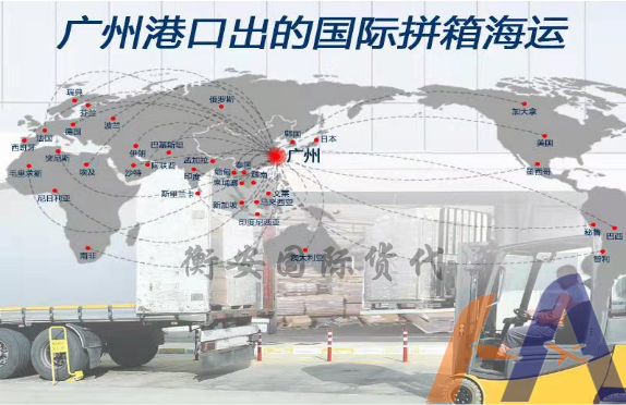 比较大的广州国际集装箱海运是哪家？