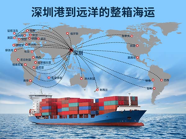 深圳港整箱远洋海运：活力四射，未来可期